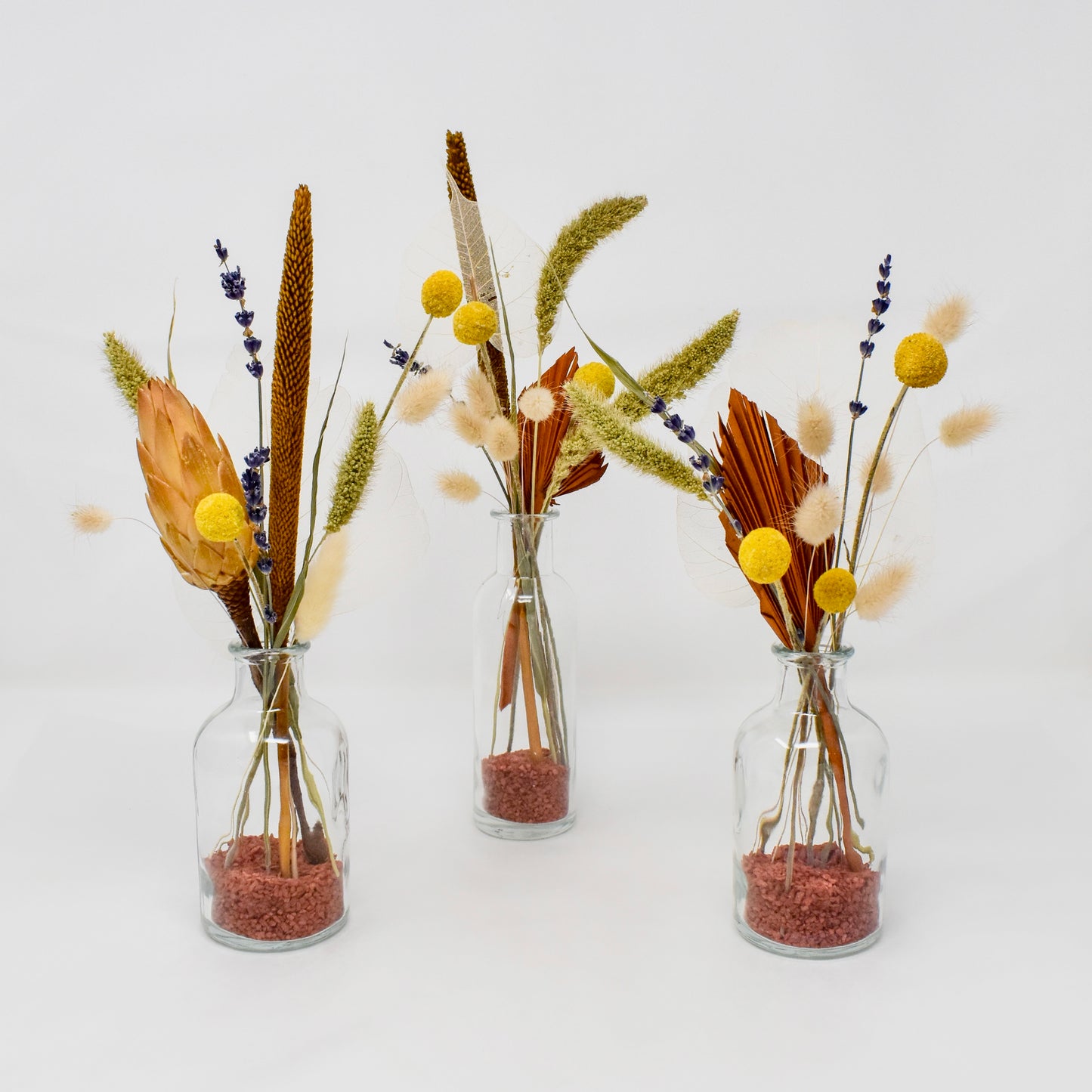 Terra Cotta - Dried Mini Trio